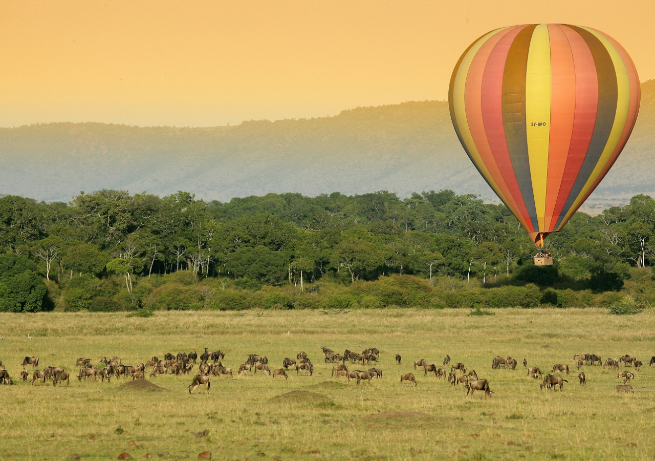 hot air balloon safari over the great migration