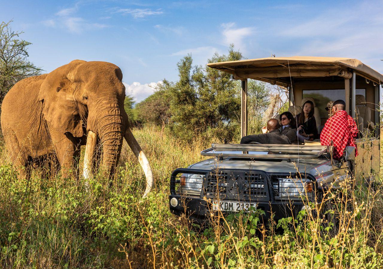 Amboseli National Park