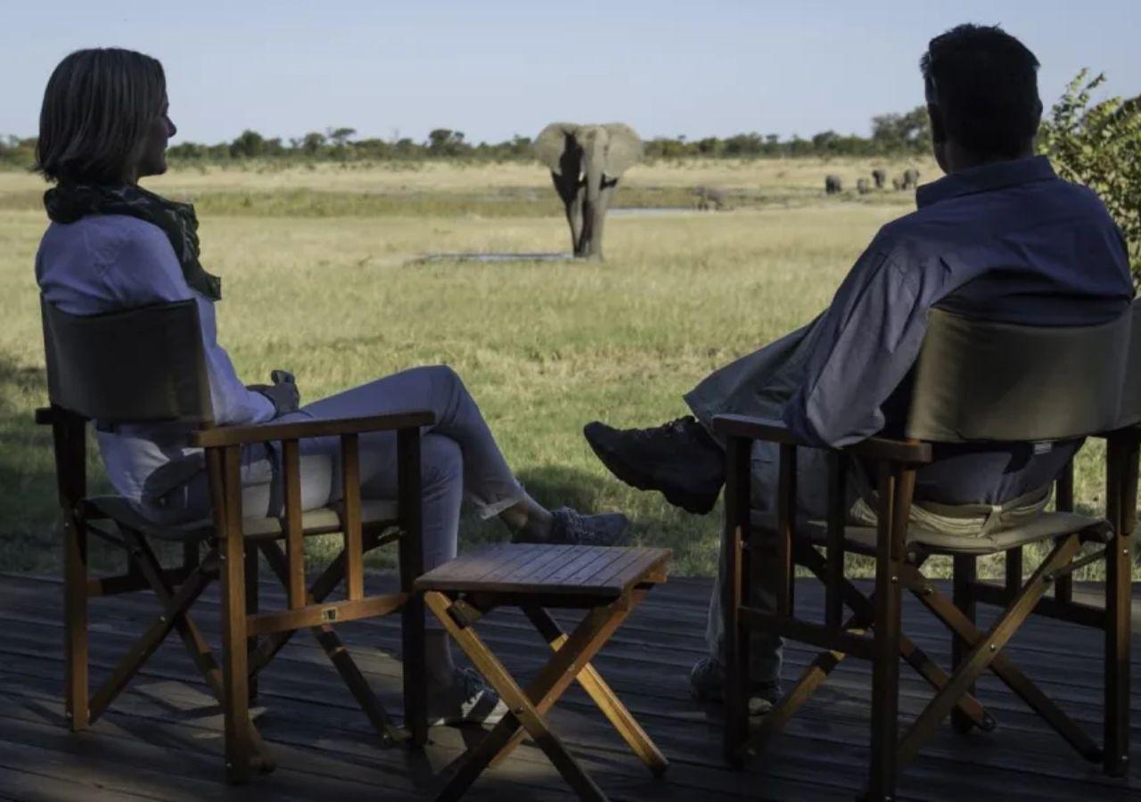 Anniversary Safari