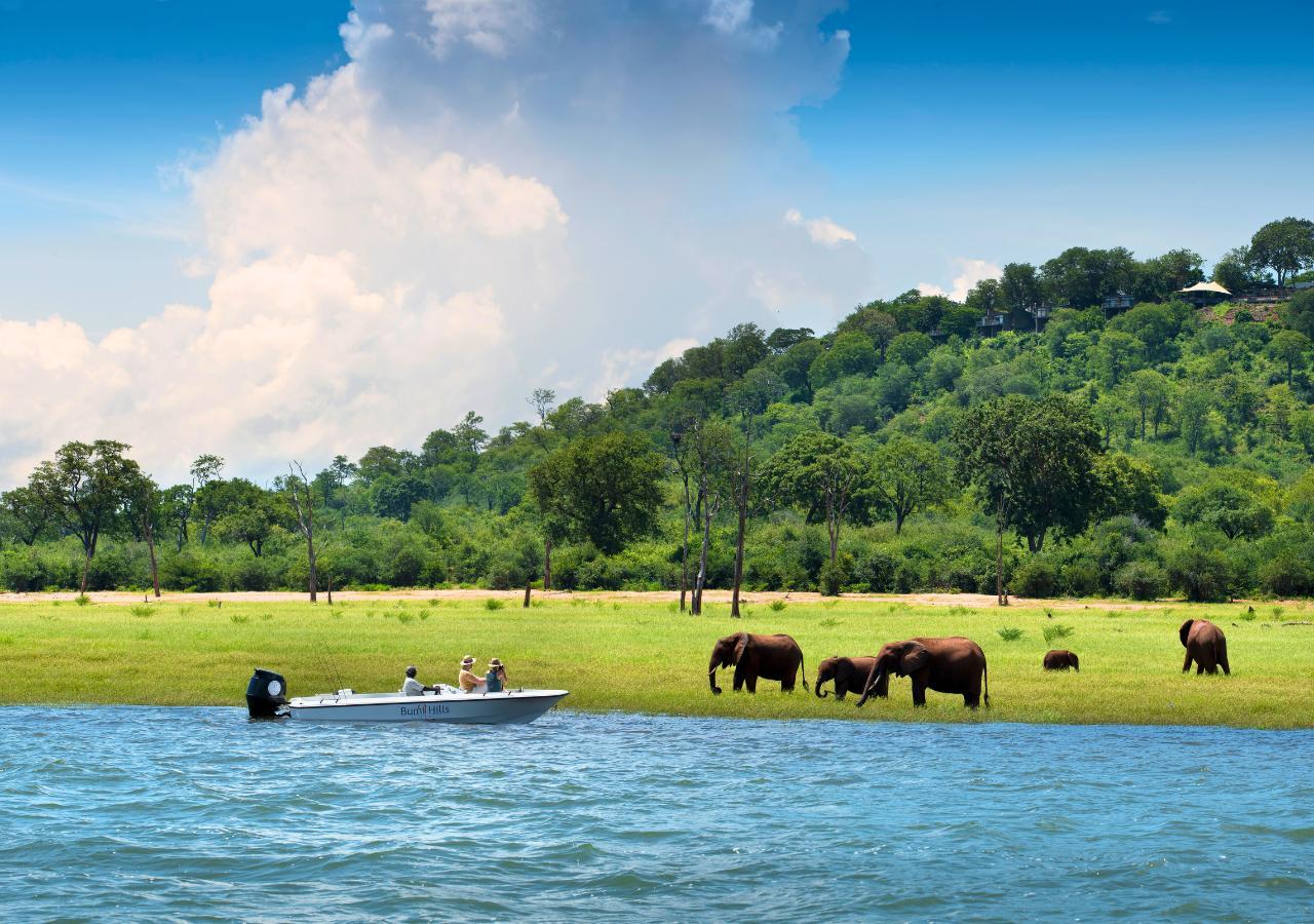 Elephant sighting on a boat safari on Lake Kariba