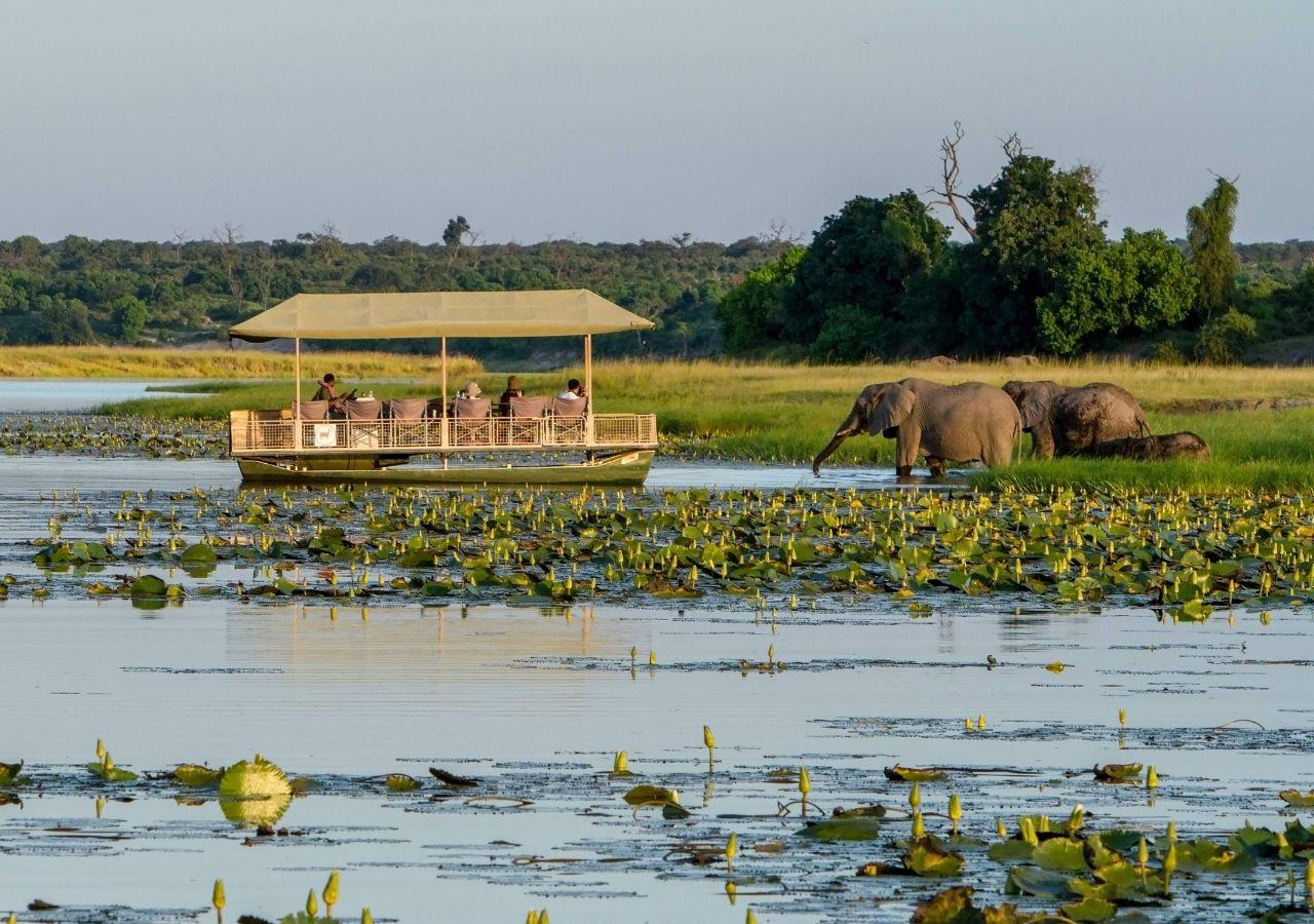 Boating Safari in Chobe National Park