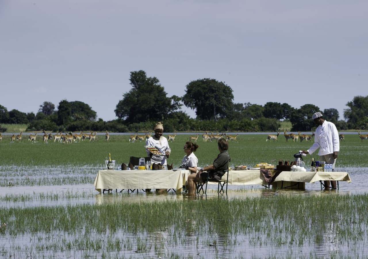 bush dining experience in Okavango Delta