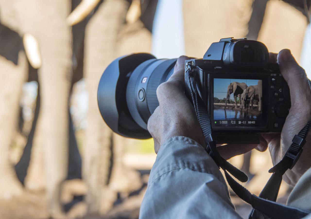 Camera taking pictures of elephants