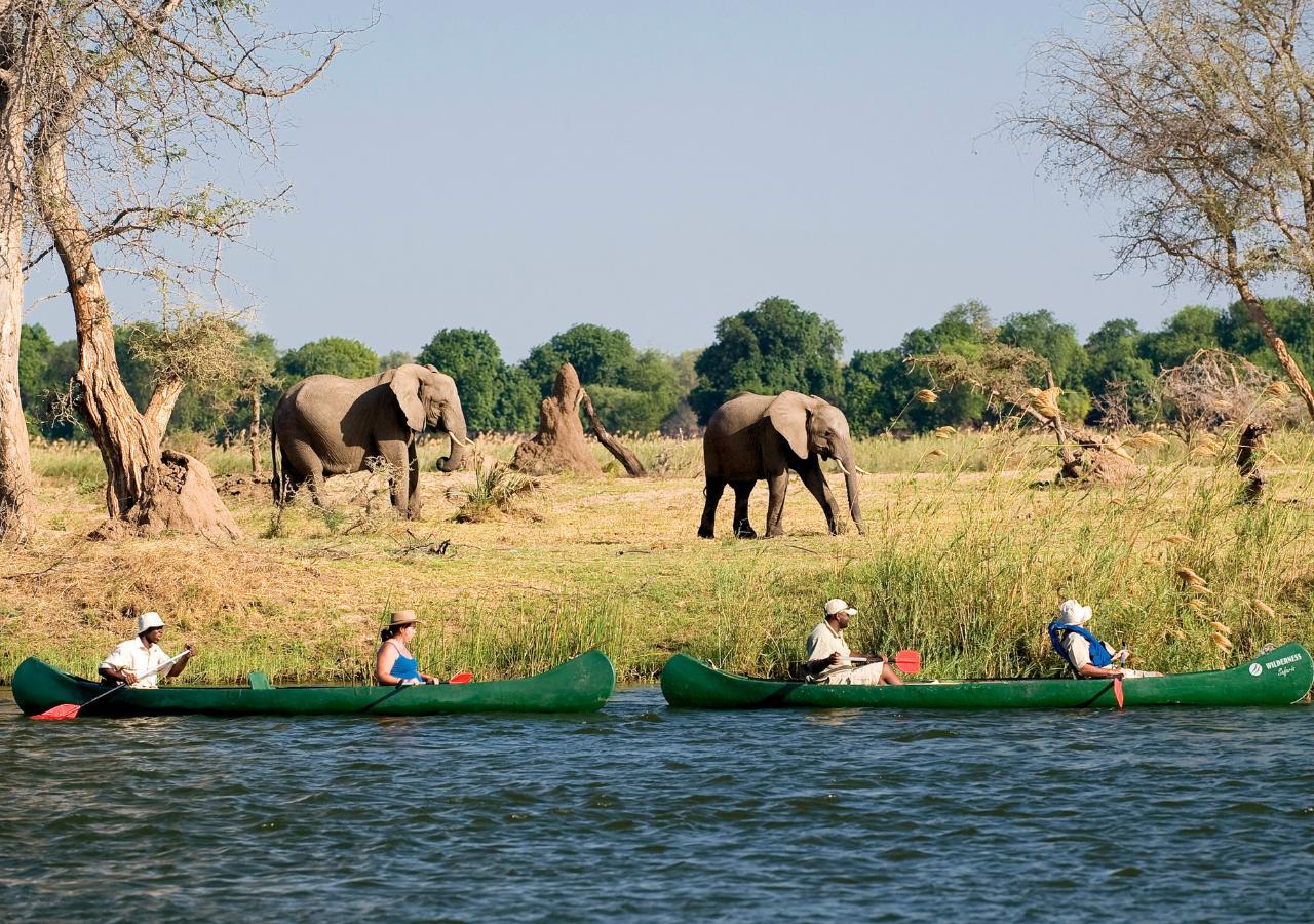 Spotting elephants on land from a Canoe safari in Zimbabwe