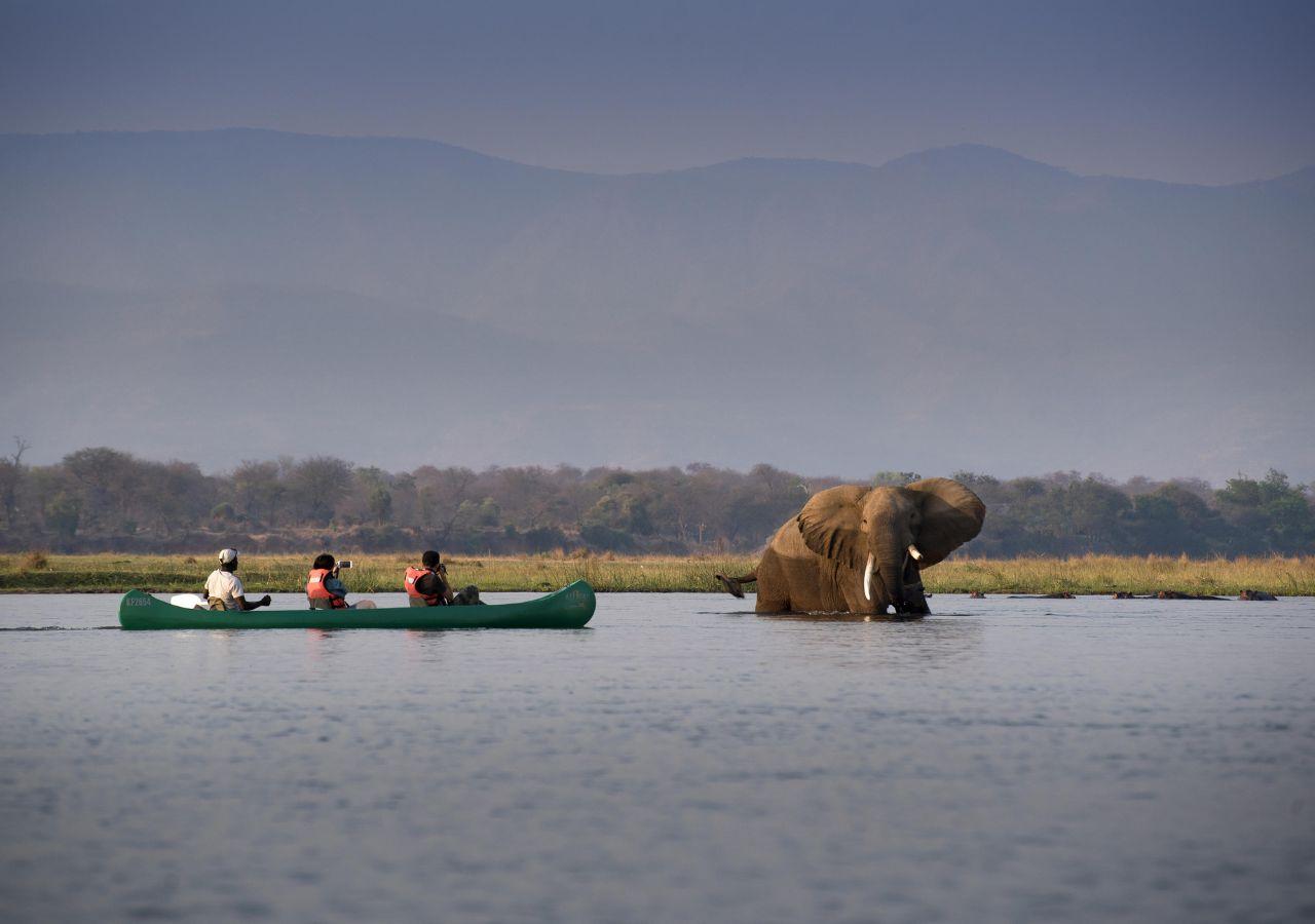 Canoe Safari in Mana Pools
