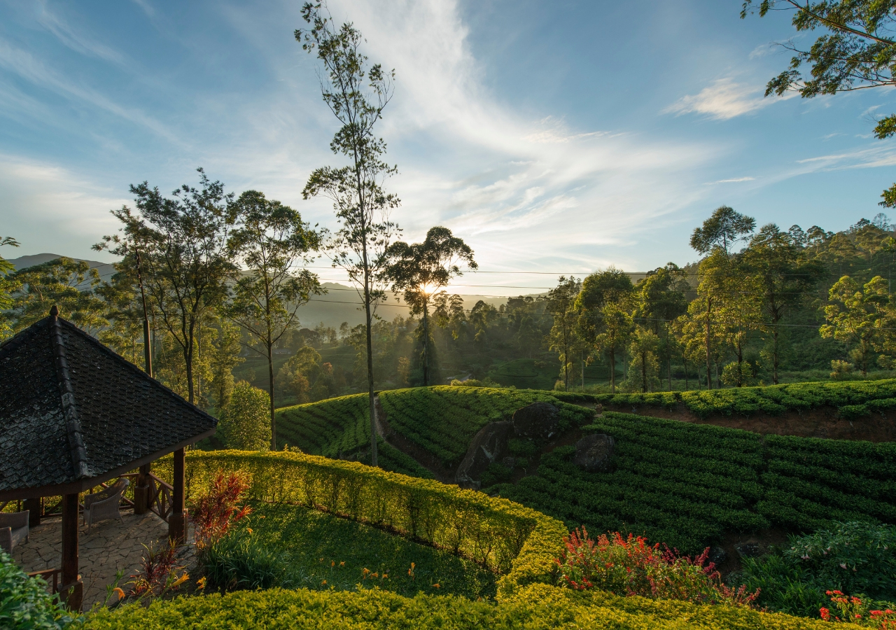 Ceylon Tea Trails Scenery