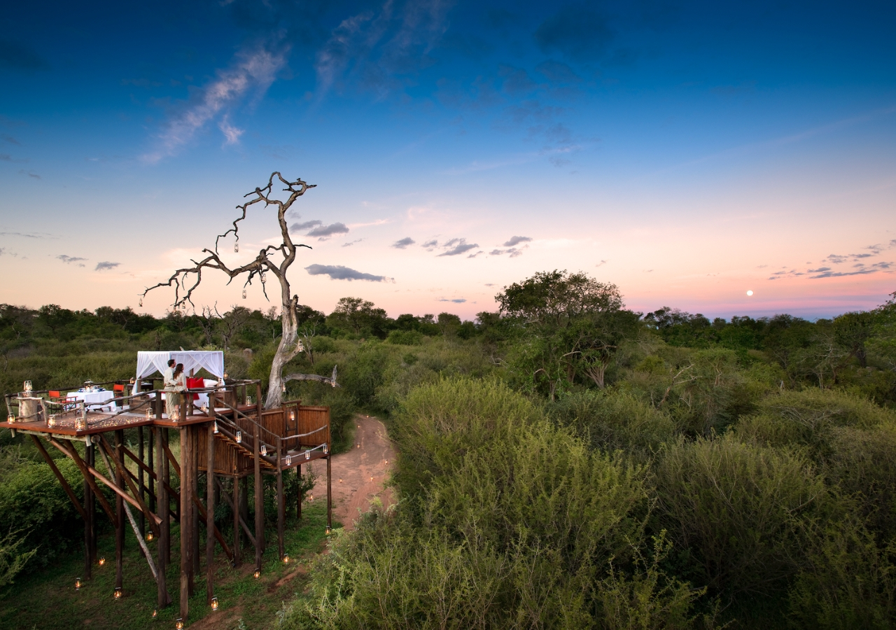 safari tree house uk