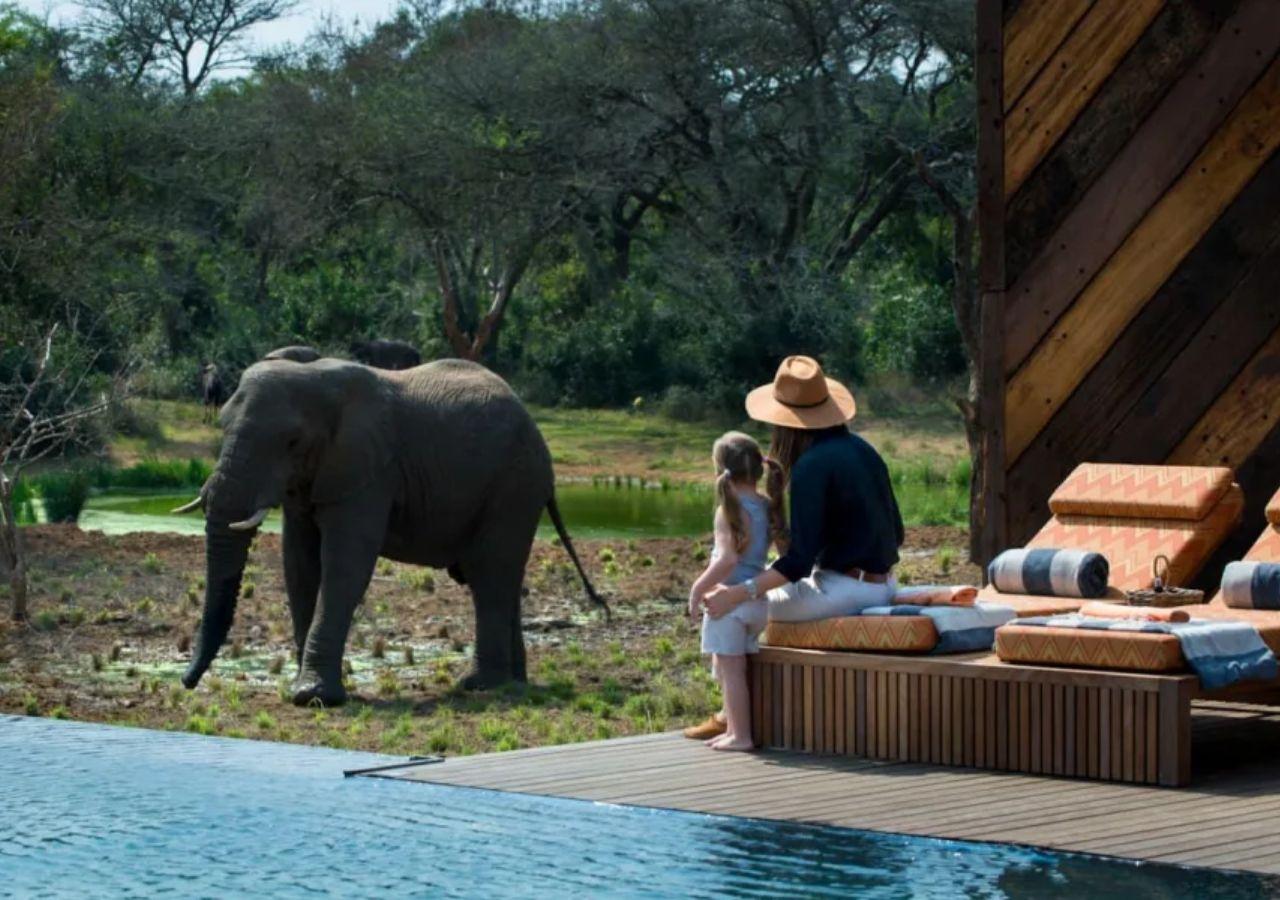 Child Friendly Safari