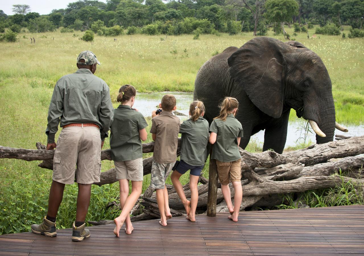children and safari guide observing a nearby elephant