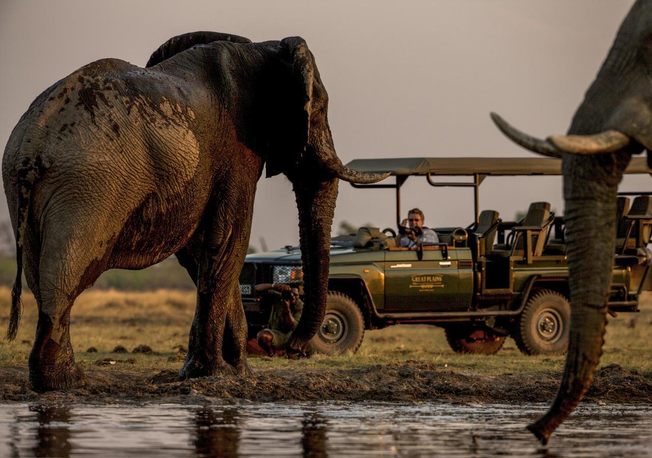 elephants next to water with a safari vehicle in the background
