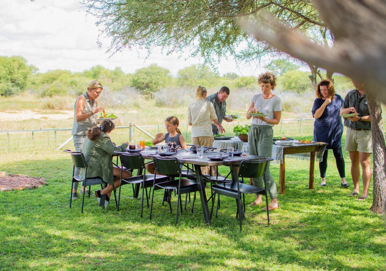 family lunch under a tree on safari