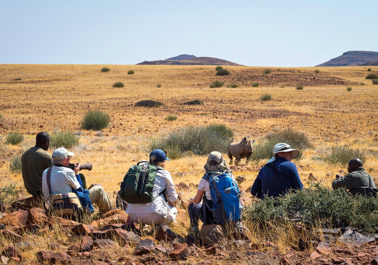Guests observing a Desert Rhino on safari with Desert Rhino Camp