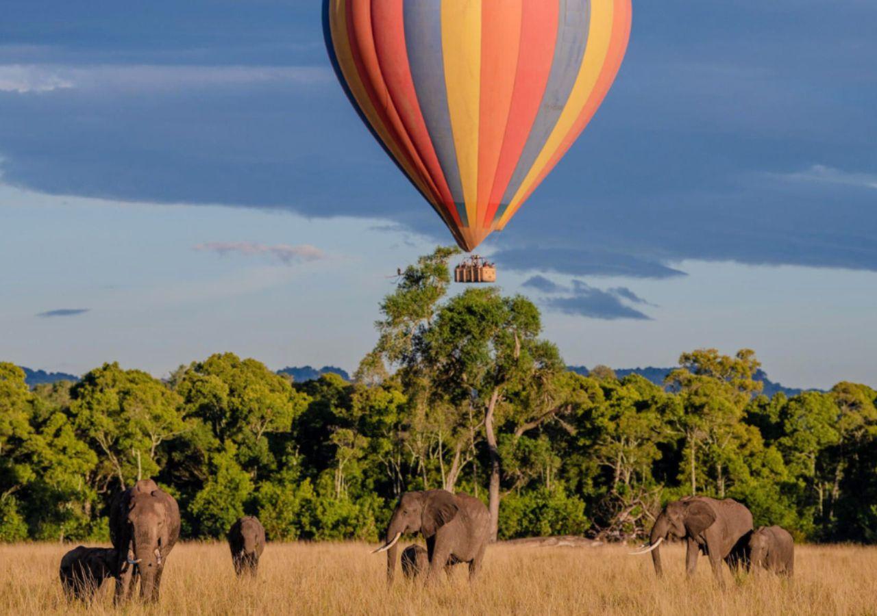 Hot Air Balloon safari sighting elephants