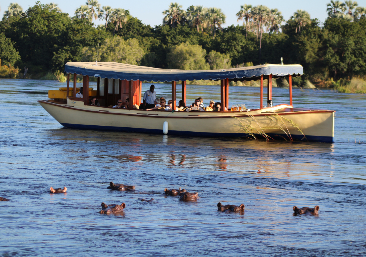 Ilala River Cruise, Zimbabwe