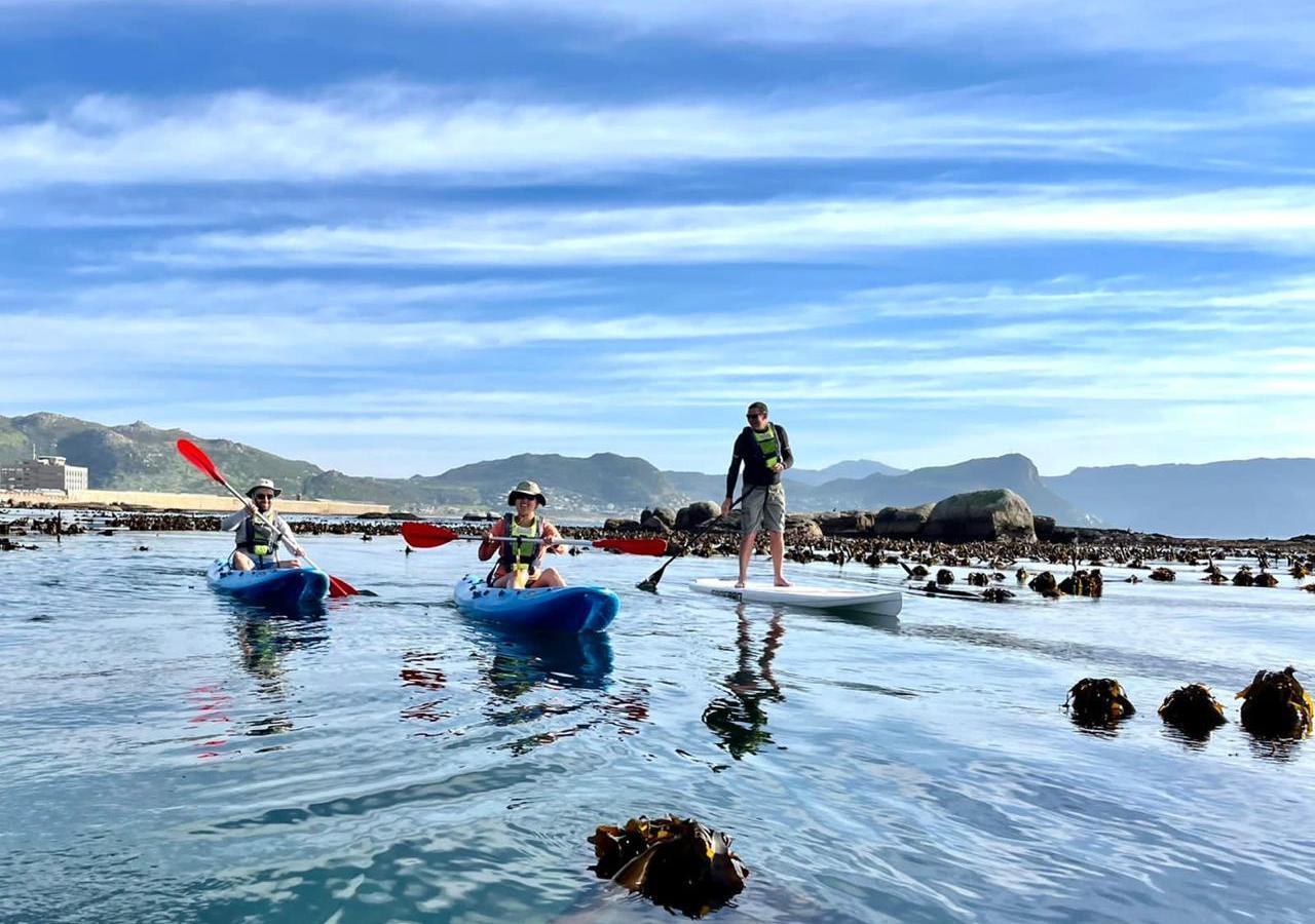 People kayaking in the ocean in Cape Town, South Africa