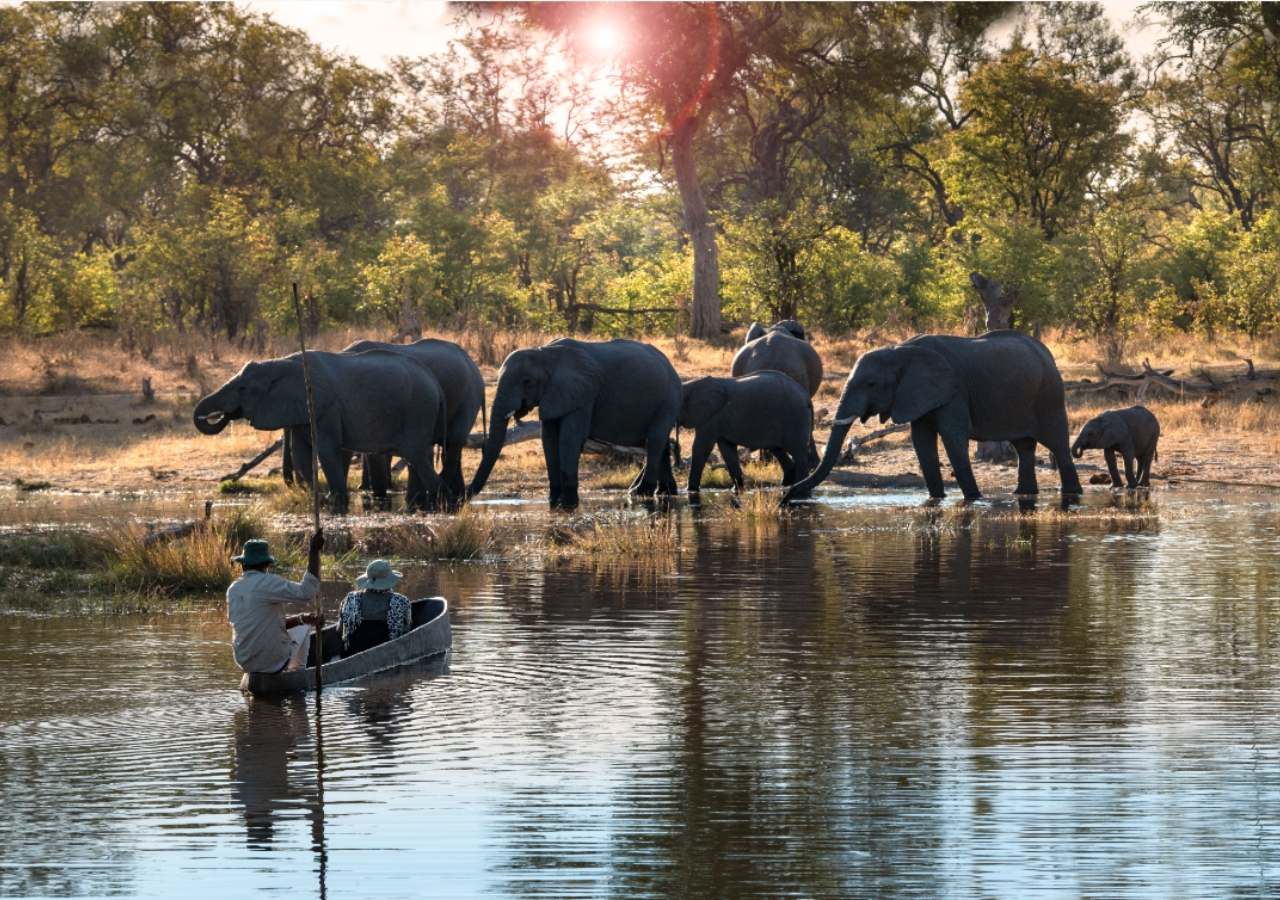 Elephant sighting on a Mokoro Safari in Botswana