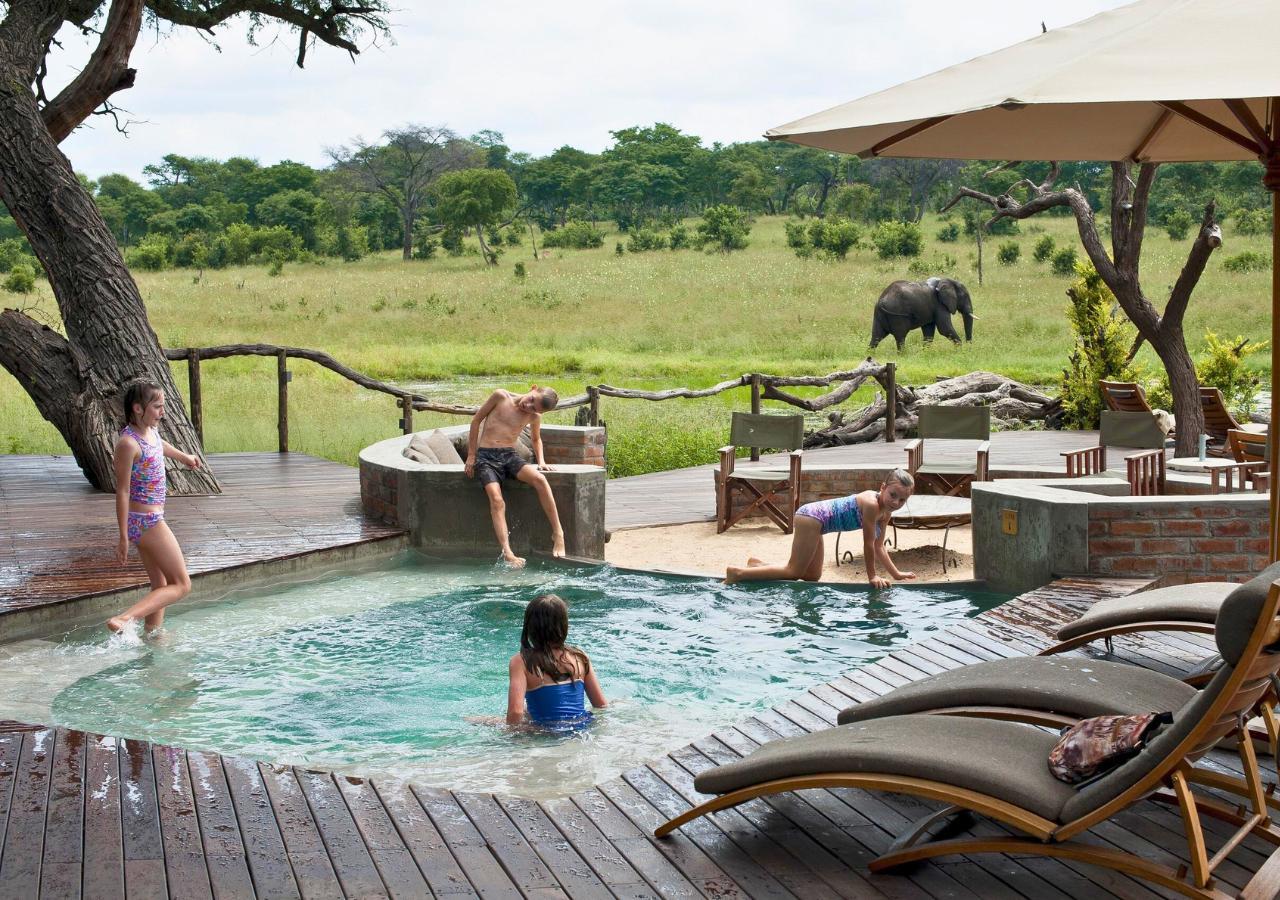 kids in a swimming pool at a safari camp with an elephant in the background