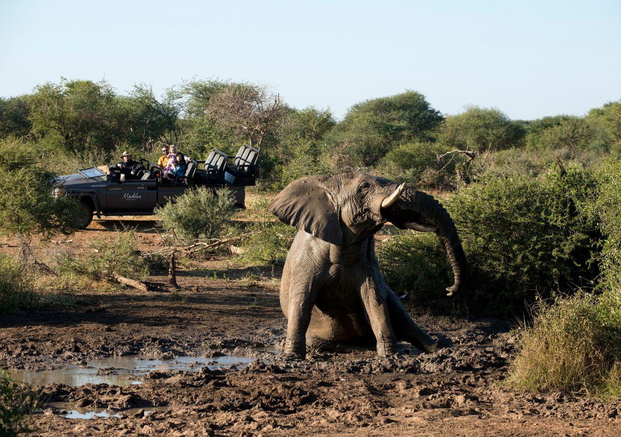 Madikwe Safari Lodge