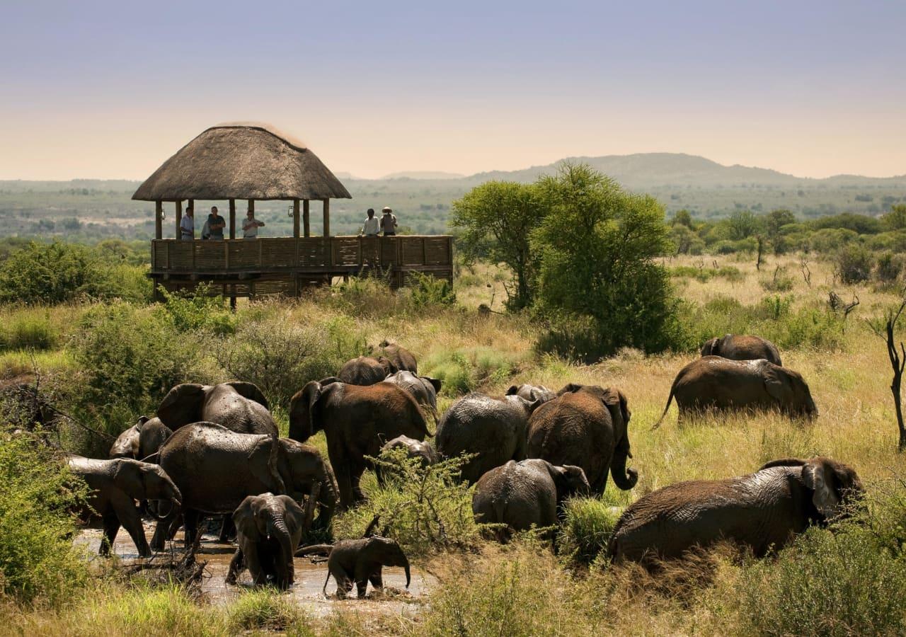 game lodge waterhole view