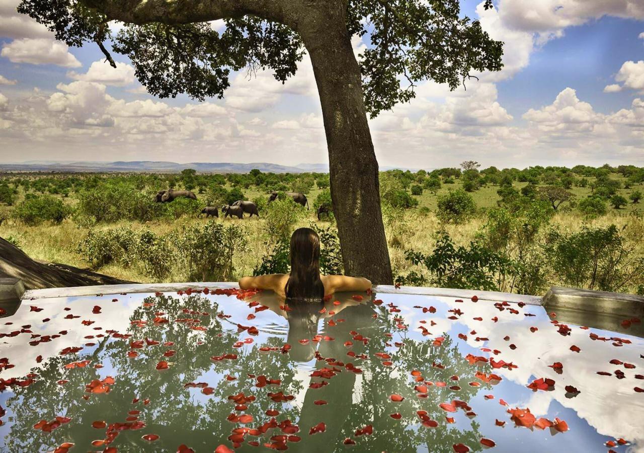 woman in a pool with floating rose petals on safari