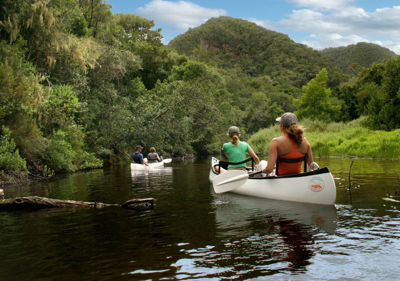 Pezula Nature Retreat, Garden Route