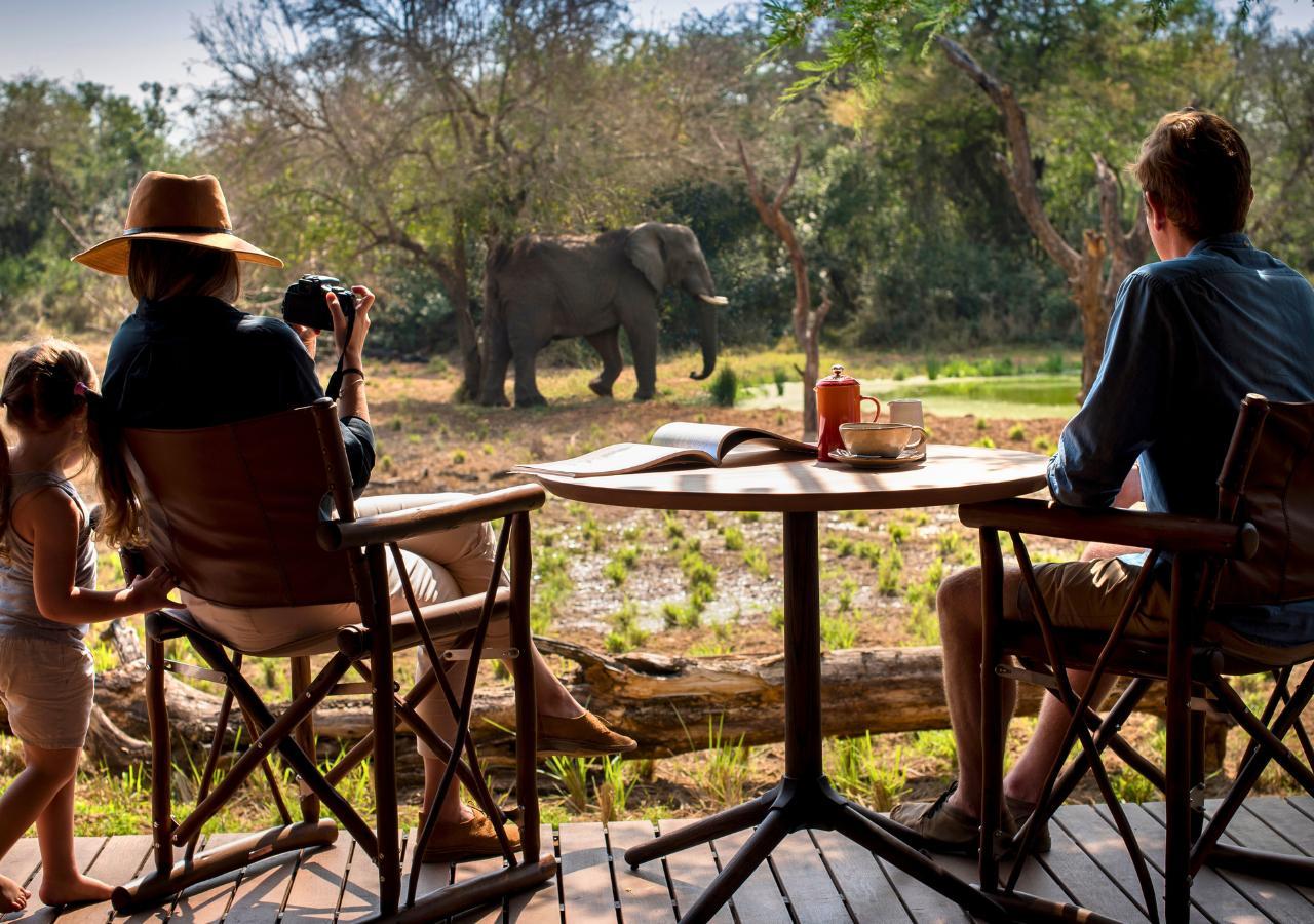 Family sighting an elephant from a safari lodge