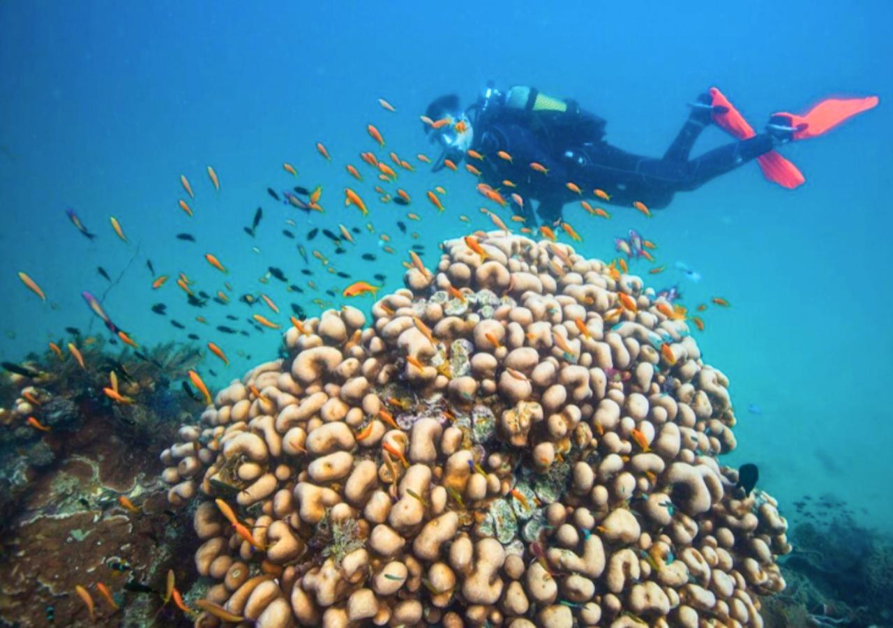 Quirimbas Archipelago scuba diving