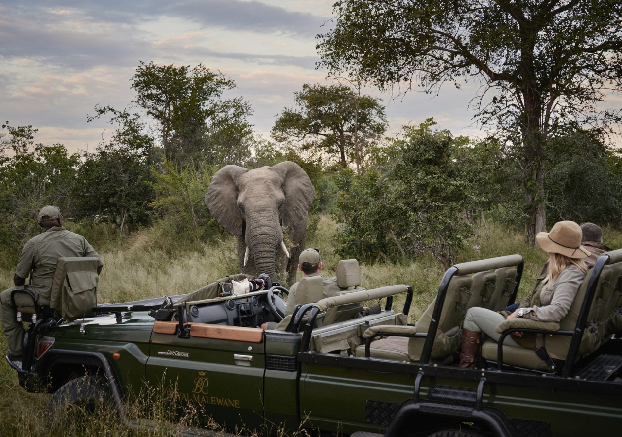 What to Wear in the Evening on Safari