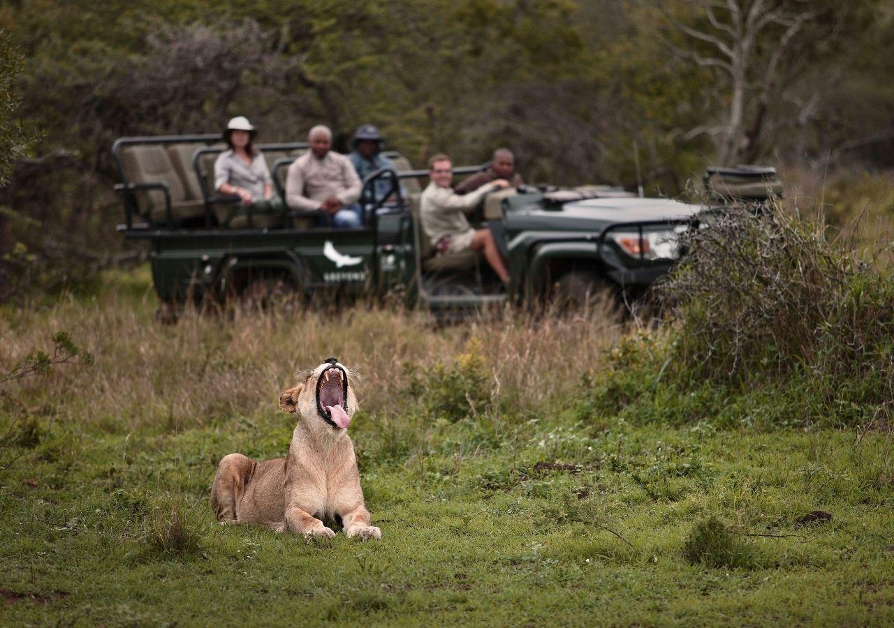 Safari in South Africa