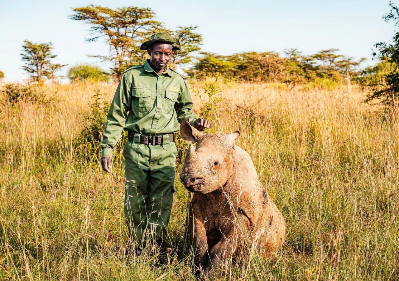 young black rhino with anti-poacher