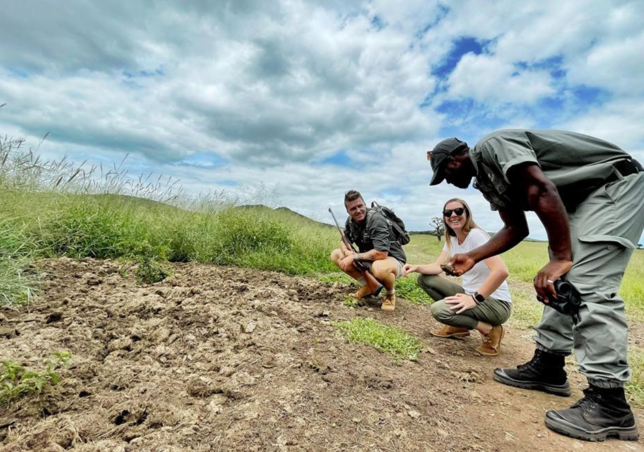 people tracking wildlife on a safari