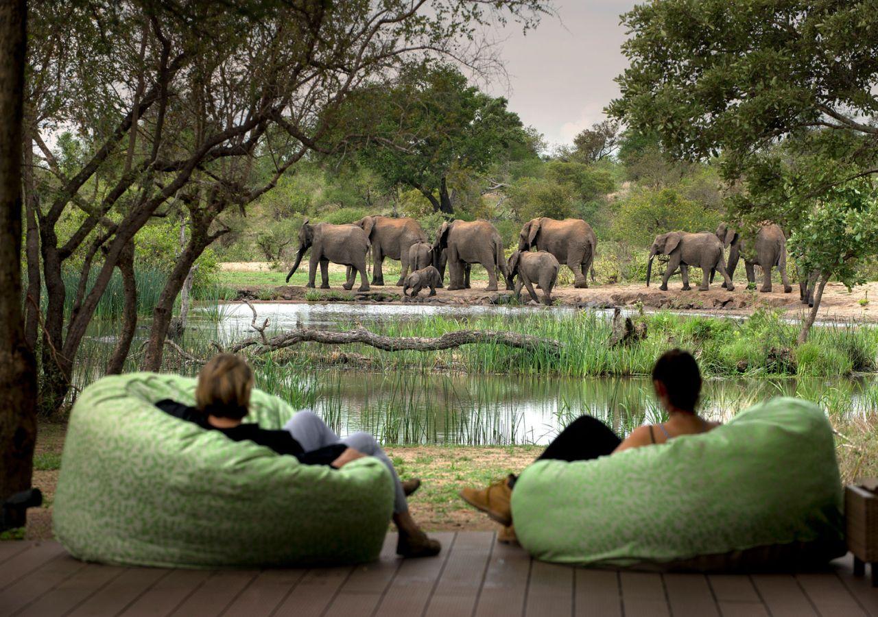 Tanda Tula Camp in South Africa