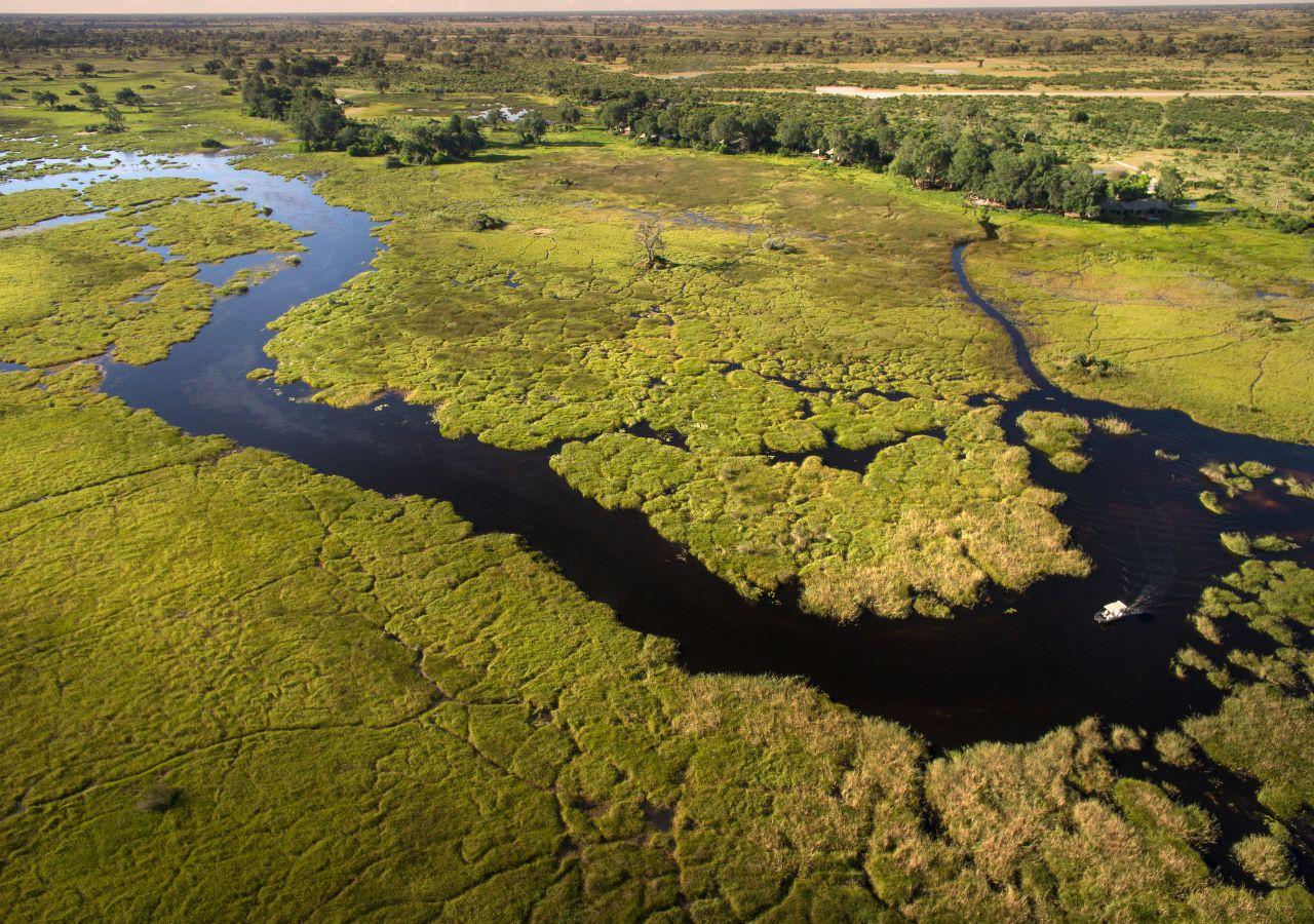 The Okavango Delta, Botswana