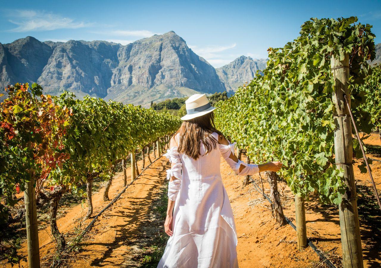 Winelands, Western Cape