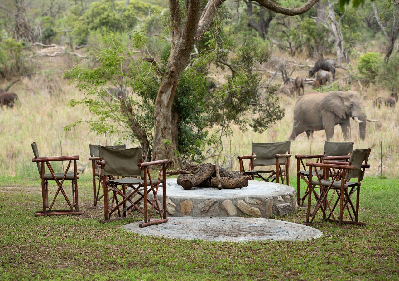 Timbavati Private Nature Reserve, South Africa