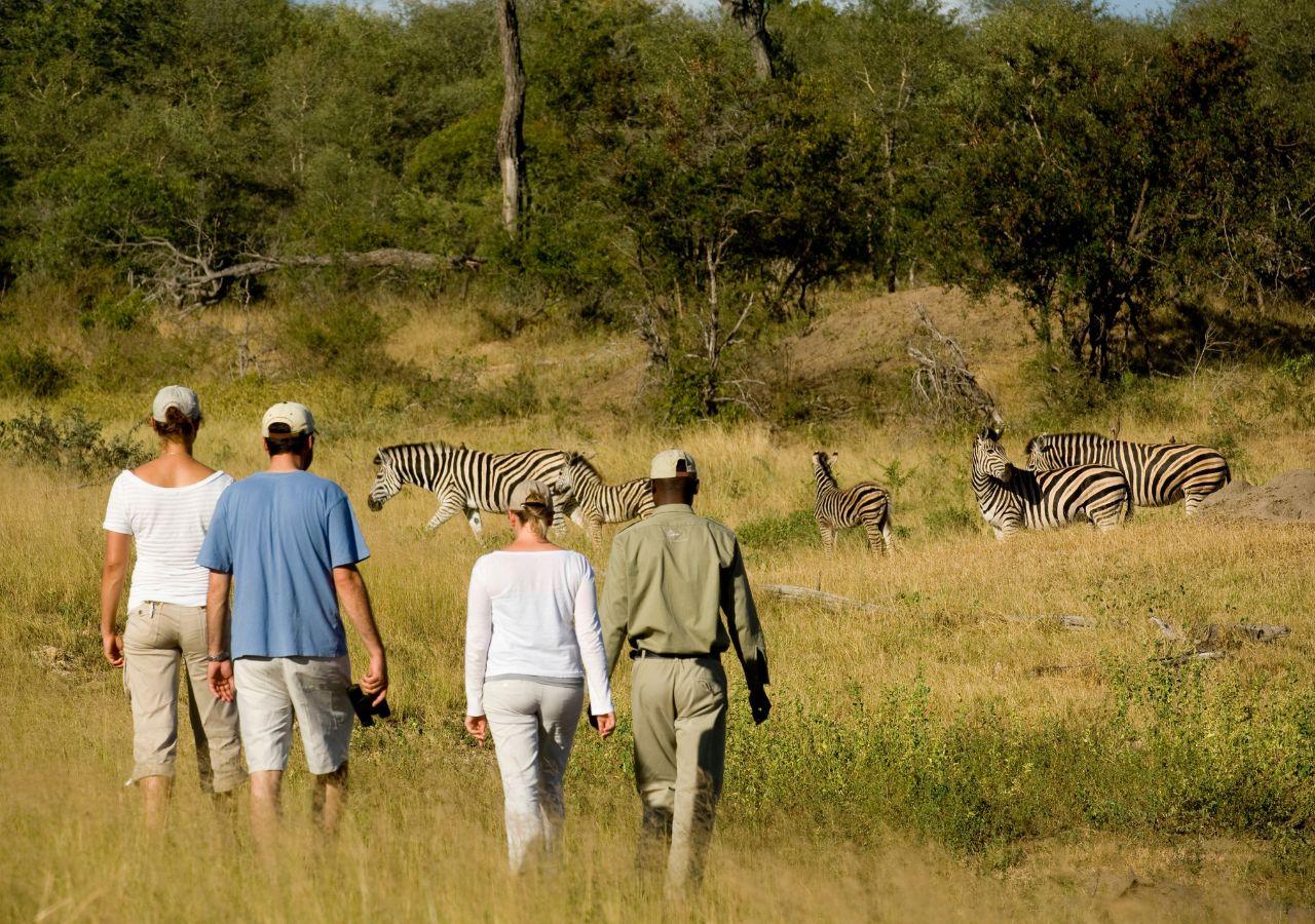 Walking Safari in Kruger National Park