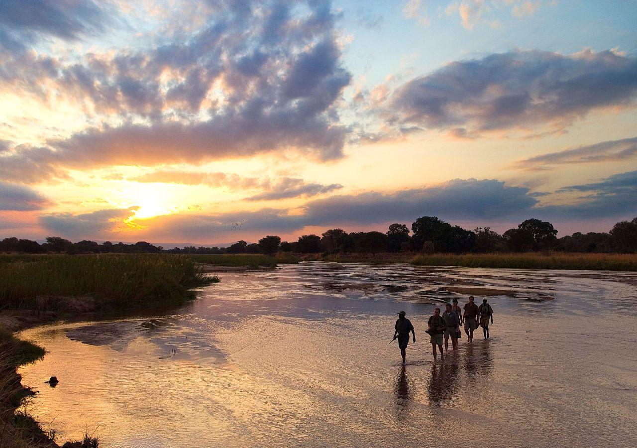 Walking safari