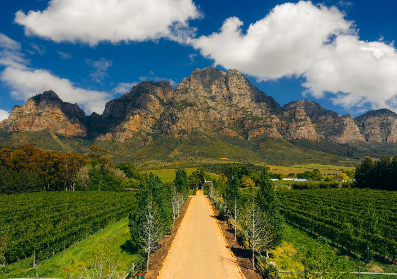 mountains in the winelands in Cape Town South Africa