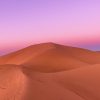 Sahara Desert Sunset