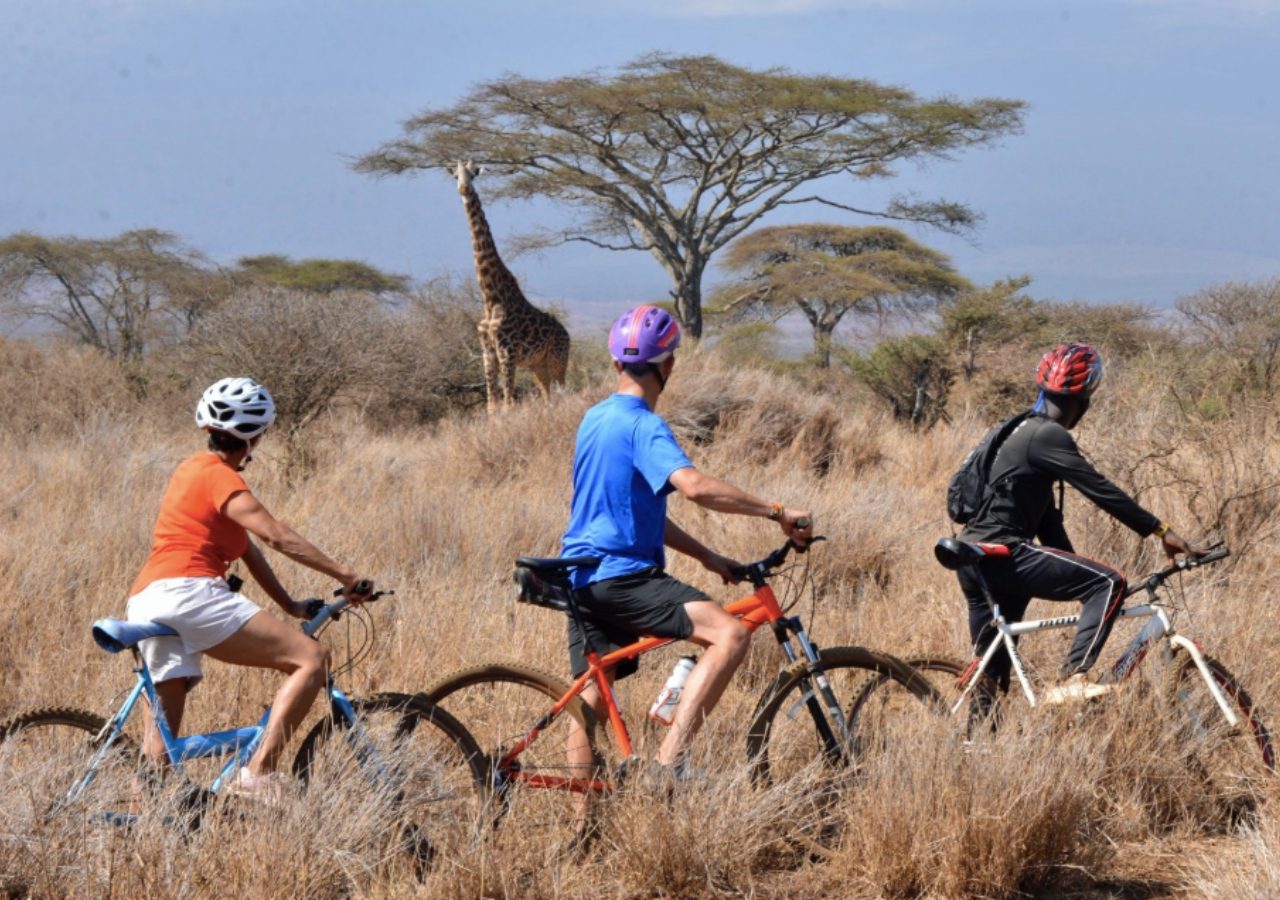 Bike Elerai Camp