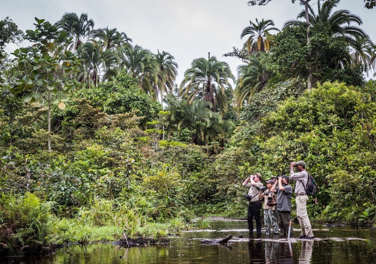 Congo River wading walking in congo basin