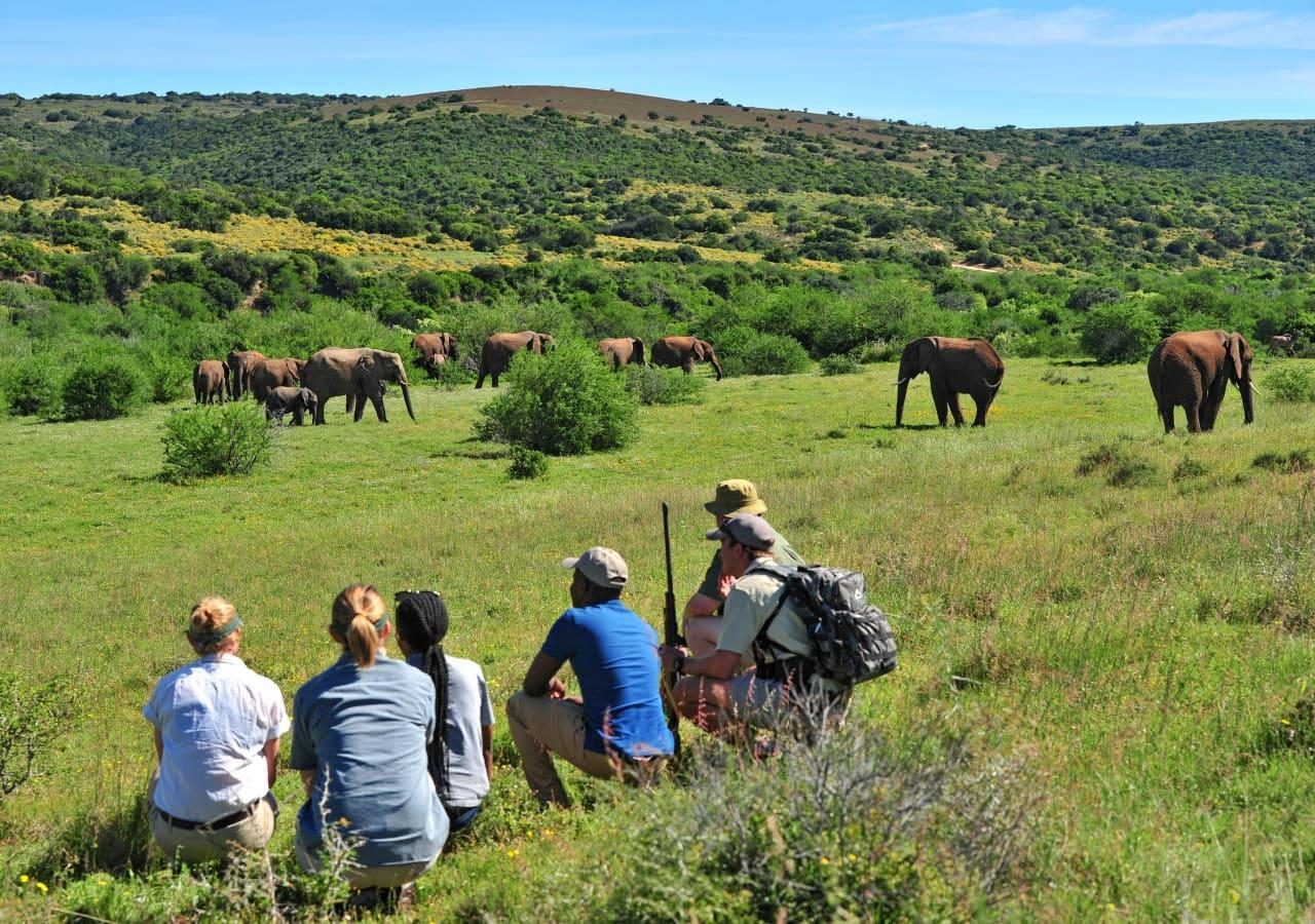 Explorer Camp guided walking safari