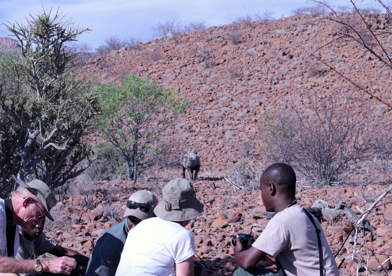 Grootberg Lodge Rhino Tracking Anica Britz