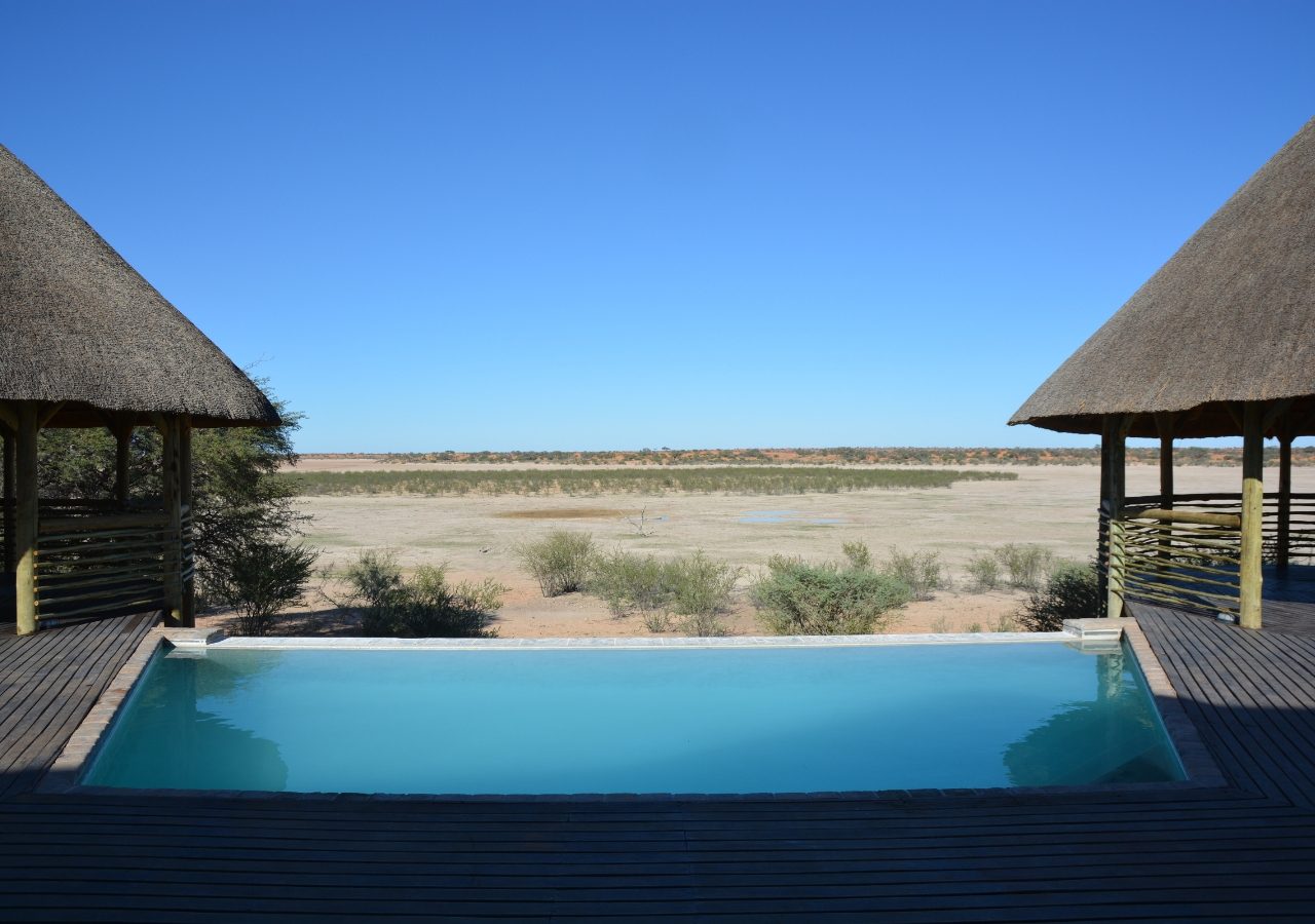 Infinity Pool Suricate Tented Lodge