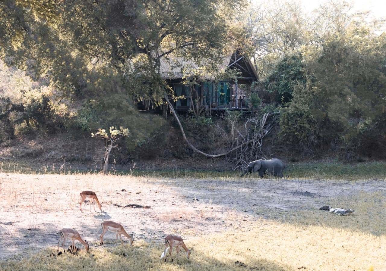 L Mvuu Lodge Game Viewing In Front Of The Lodge