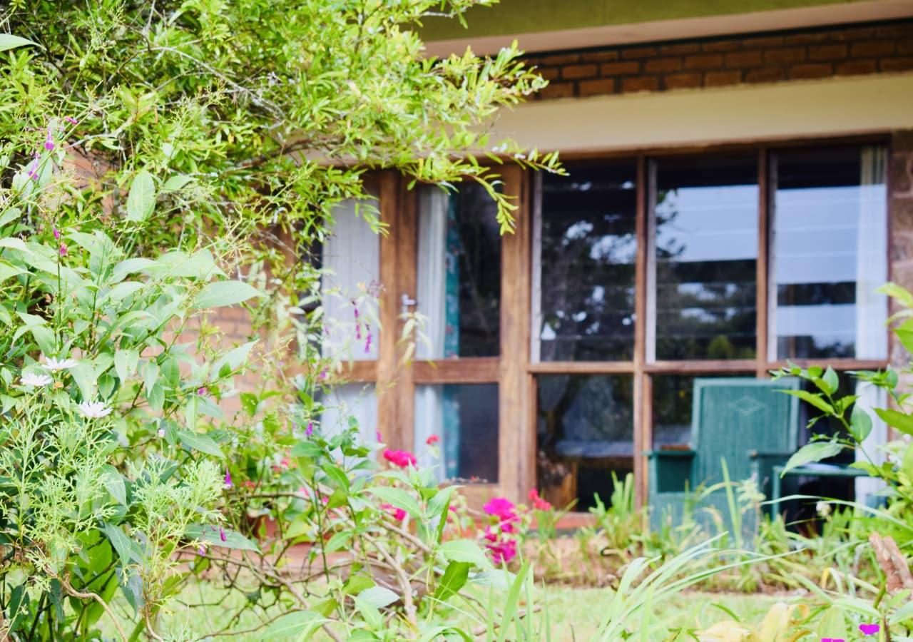 Luwawa Forest Lodge view from the lodge