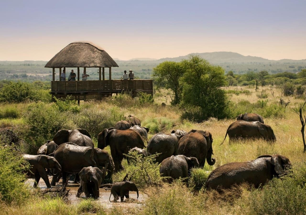 Morukuru Owners House hide overlooking waterhole