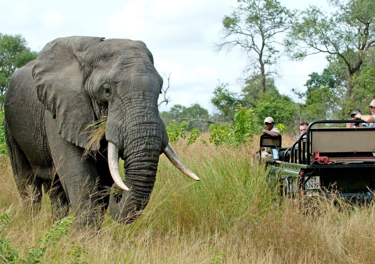 Nottens Bush Camp game drive