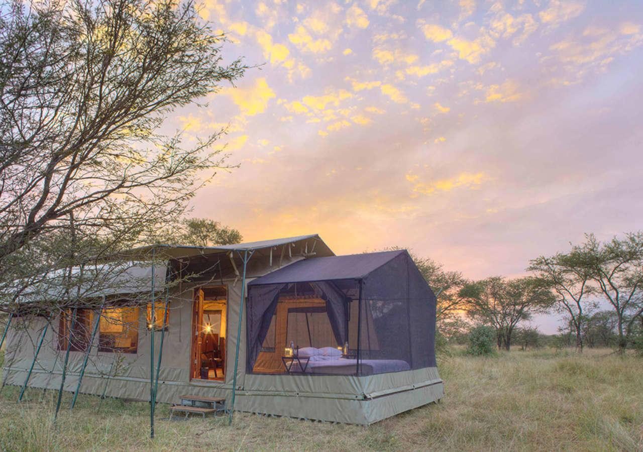 Olakira Camp Stargazing tent