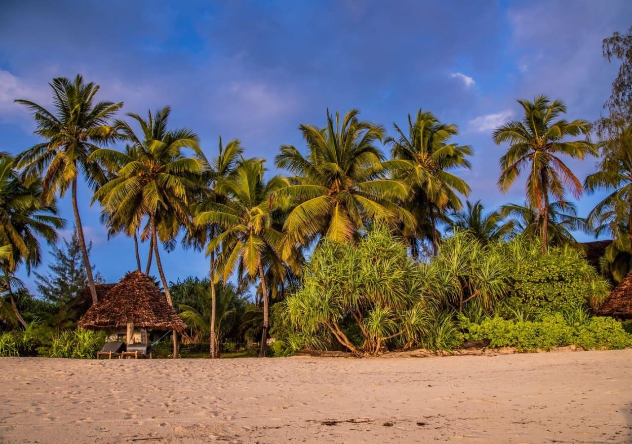 Pongwe Beach Hotel the setting